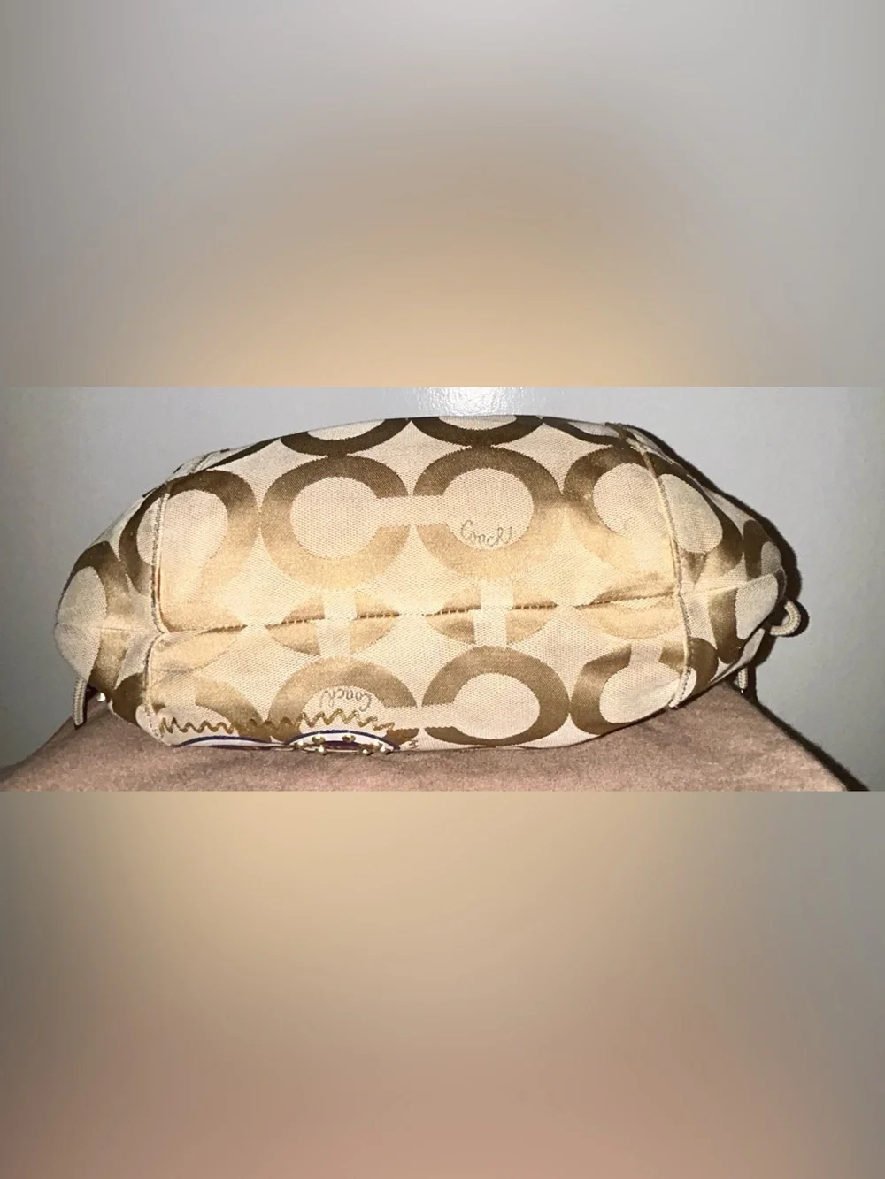 Coach Poppy Pop C Applique Jazzy Hobo Bag . Y2K